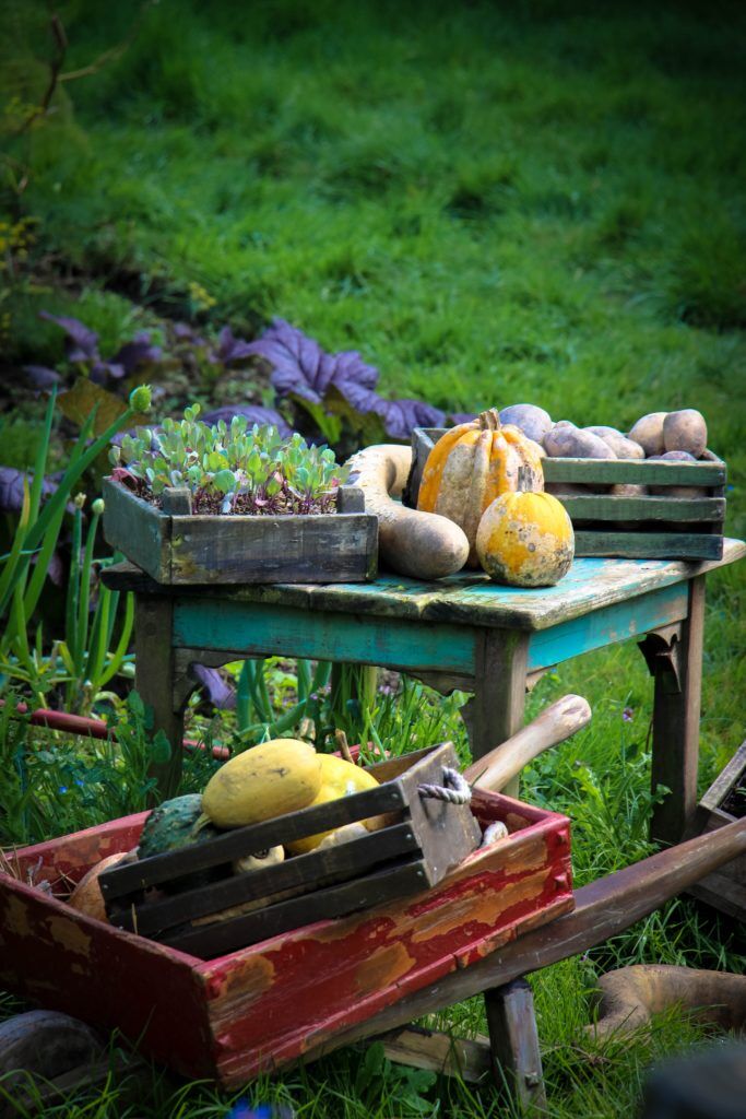 Photo by Kevin Li green wooden table